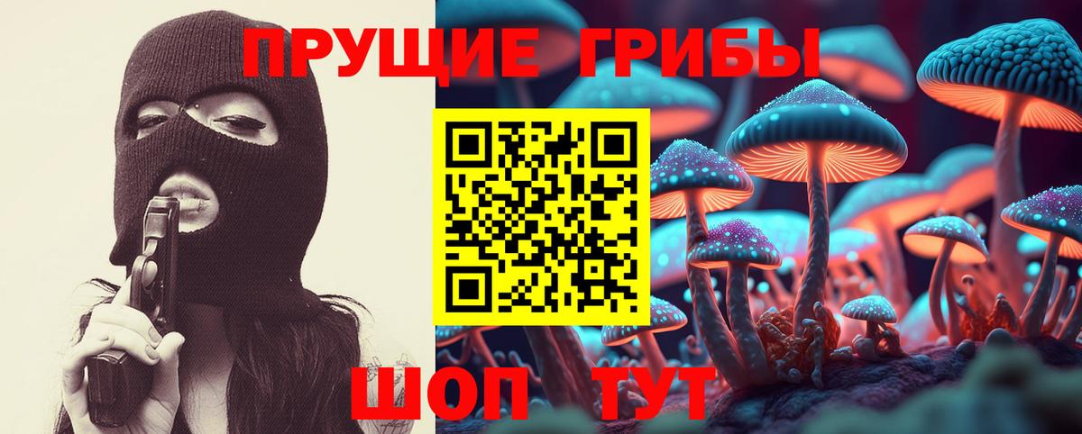 Псилоцибиновые грибы Psilocybine cubensis Лянтор